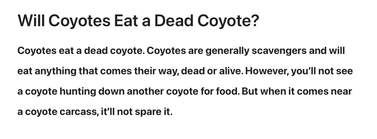 Do Coyotes Eat Dead Coyotes
